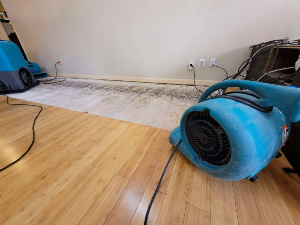 Professional Burst Pipe Water Damage technician working in Blacklick, OH